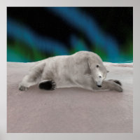 Vreedzame IJsbeer Arctische Natuur Illustratie