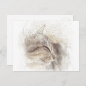 Vreedzame Kat Digitale Potlood Tekening Art Briefkaart (Voorkant / Achterkant)