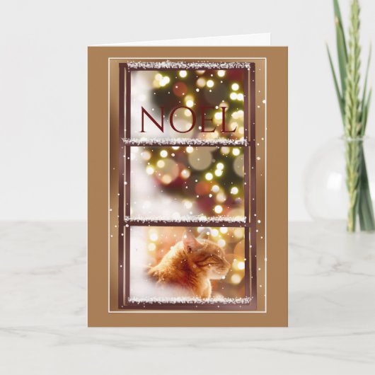 Vreedzame kat in een besneeuwde raam kerst Kaart (Voorkant)