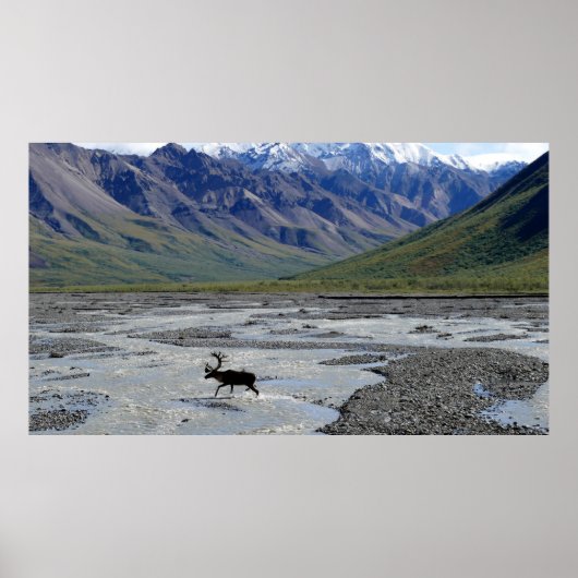 VREEDZAME LANDSCHAP MET REINDEER POSTER (Voorkant)