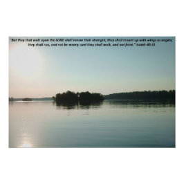 Vreedzame meer en verre bomen met schriftuur perfect poster