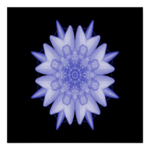 Vreedzame momenten... perfect poster