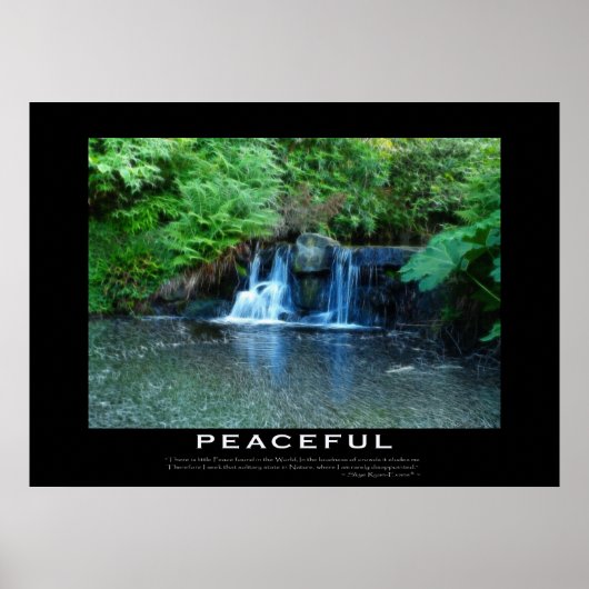 VREEDZAME Motivatie Forest Stream-Poster Poster (Voorkant)