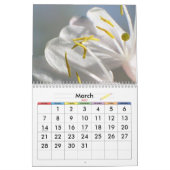 Vreedzame Natuur Kalender (Mar 2027)