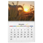 Vreedzame Natuur Kalender (Jan 2027)