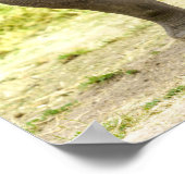 Vreedzame neushoorn poster (Hoek)