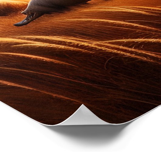 Vreedzame ontmoeting: twee Aardvarken in idyllisch Poster (Hoek)