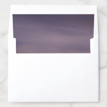 Vreedzame Paarse Lavendel Bewolkte Hemel