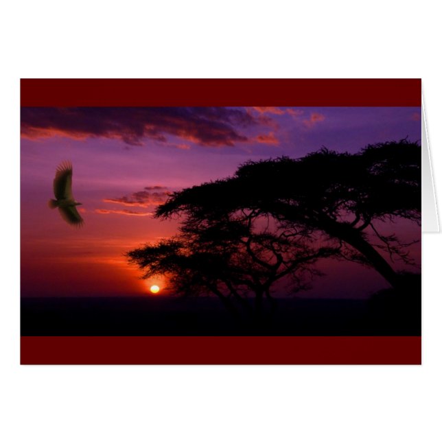 Vreedzame Paarse Zonsondergang (Voorkant Horizontaal)