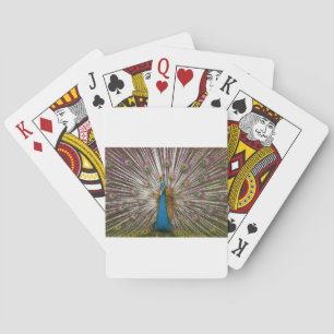Vreedzame Pauw Pokerkaarten
