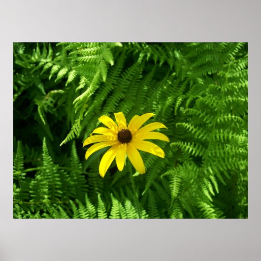 Vreedzame plaats poster (Voorkant)