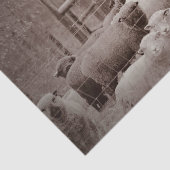 Vreedzame, rustende veestapel op weefselpapier tissuepapier (Detail)