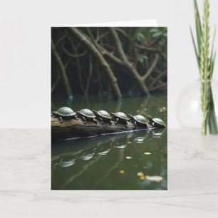 Vreedzame Schildpad Log Kaart