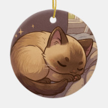 Vreedzame Siamese Kitten