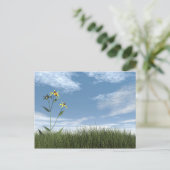 Vreedzame stenen - 3D rendering Briefkaart (Staand voorkant)