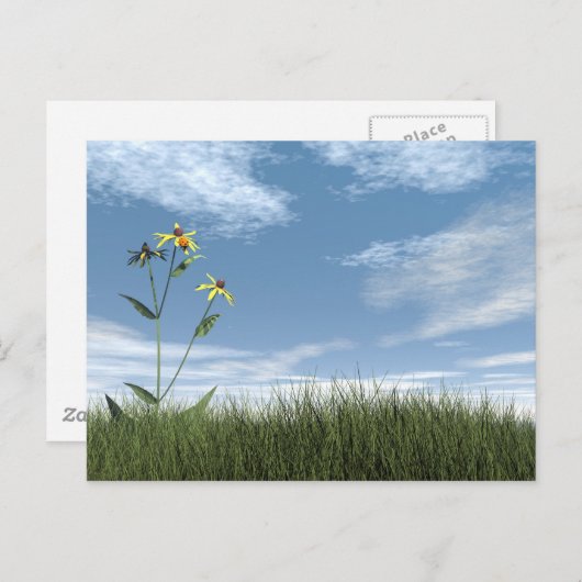 Vreedzame stenen - 3D rendering Briefkaart (Voorkant / Achterkant)