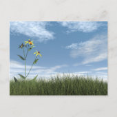 Vreedzame stenen - 3D rendering Briefkaart (Voorkant)