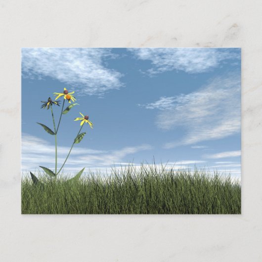 Vreedzame stenen - 3D rendering Briefkaart (Voorkant)