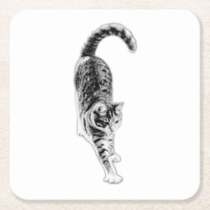 Vreedzame Stretch Cat Onderzetter Set
