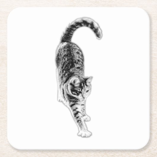 Vreedzame Stretch Cat Onderzetter Set (Voorkant)