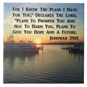 VREEDZAME SUNSET OP DE MARKT TEGELTJE