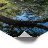 Vreedzame vijverreflecties - Natuur's Mirror Poster (Hoek)