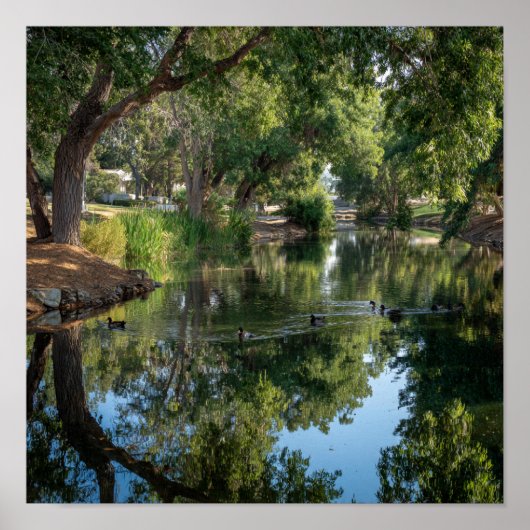 Vreedzame vijverreflecties - Natuur's Mirror Poster (Voorkant)