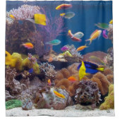 VREEDZAME VIS DOUCHEGORDIJN (Voorkant)