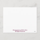  Vreedzame Waterkant op vakantie Feestdagenkaart (Achterkant)