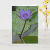 Vreedzame Waterlelie (Nymphaeceae) Kaart (Gele Bloem)