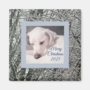 Vreedzame witte puppy hond besneeuwde dag kerst Ma Magneet