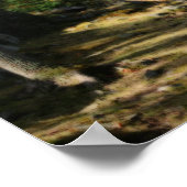 Vreedzame Woodland Path Natuur Orton Art Poster (Hoek)