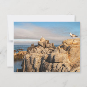 Vreedzame zeegezicht landschap Californië Briefkaart