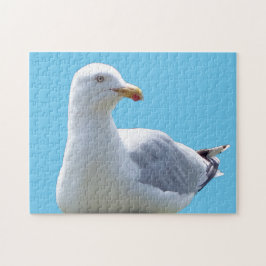 Vreedzame Zeemeeuw Rustende Kustvogel Scene Natuur Legpuzzel