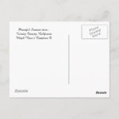 Vreedzame zomertijd.... briefkaart (Achterkant)