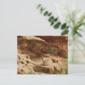 Vreemd.... Briefkaart (Staand voorkant)