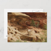 Vreemd.... Briefkaart (Voorkant / Achterkant)