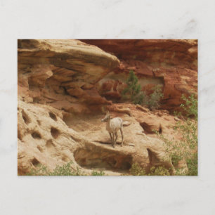 Vreemd.... Briefkaart