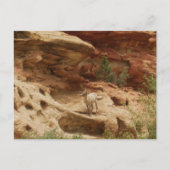 Vreemd.... Briefkaart (Voorkant)