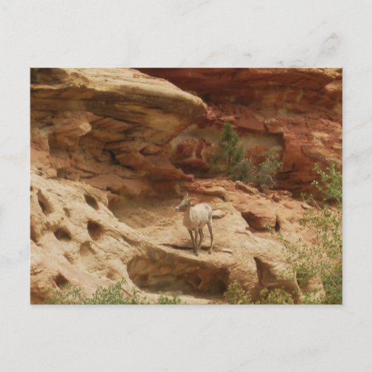 Vreemd.... Briefkaart (Voorkant)