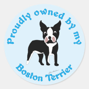 Vreemd eigendom van een Boston Terrier Ronde Sticker