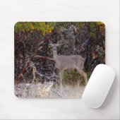 Vreemd.... Muismat (Met muis)