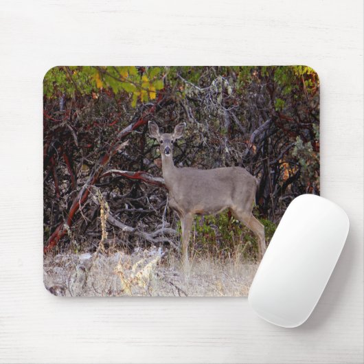 Vreemd.... Muismat (Met muis)