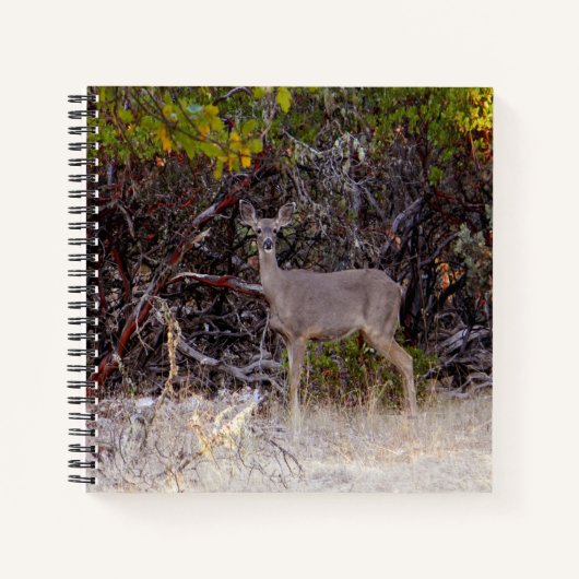 Vreemd... Notitieboek (Voorkant)