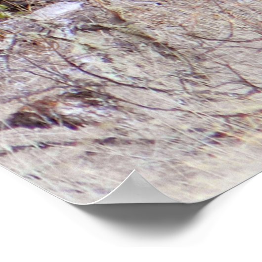 Vreemd... Poster (Hoek)