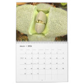 Vreemd prachtige vetplanken kalender (Mar 2026)