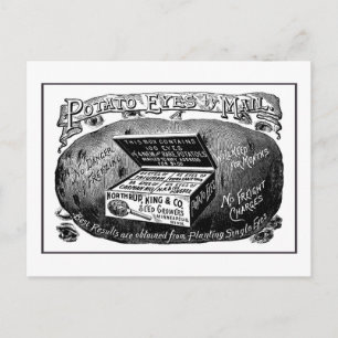 Vreemde  aardappeladvertentie briefkaart