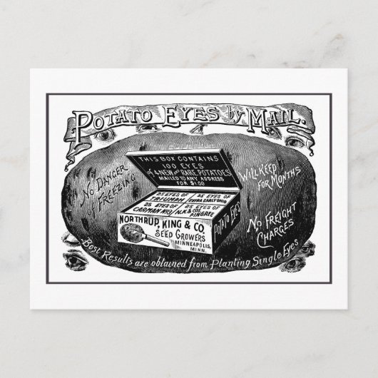 Vreemde  aardappeladvertentie briefkaart (Voorkant)