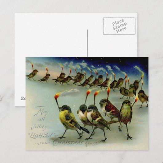 Vreemde  baarmoeder van vogels met lucifers briefkaart (Voorkant / Achterkant)