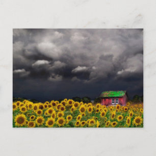 Vreemde dag, Briefkaart